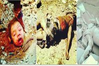 ضحايا المذبحة