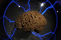 سر نفور الدماغ