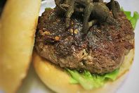 العنكبوت المقدم