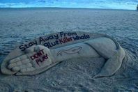 الحوت الأزرق