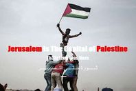 «هاكرز» فلسطيني يستولى على مئات المواقع الإسرائيلية