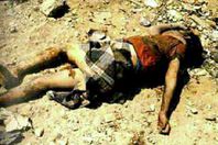 مذبحة بحر البقر