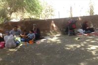 الملاية في حديقة  الحيوان