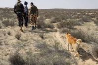 صورة الكلب الآخر مع أبطال الكتيبة 103