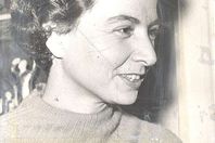 انجي افلاطون