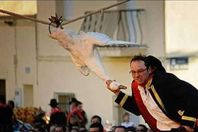 قطع رؤوس الأوز