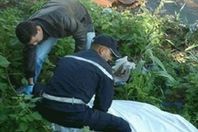 أرشيفية