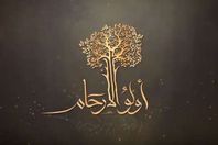 حملة ألولو الأرحام