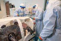 كورونا في الكويت