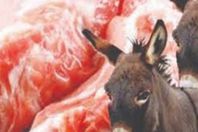 3 محلات لبيع لحم الحمير بالمعصرة
