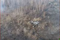 صورة من الفيديو