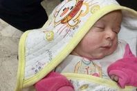 طفل قمامة " طلخا"

