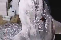 اصطياد أغرب سمكة في العالم