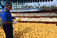 ضبط مخدرات بـ 65 مليون دولار