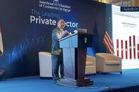 وزير المالية