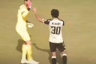 هاني والشناوي