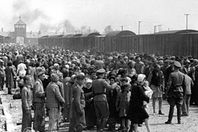330px-Selection_on_the_ramp_at_Auschwitz-Birkenau,_1944_(Auschwitz_Album)_1b