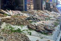 583c8e97-3351-4c2a-944d-f19760d106e0