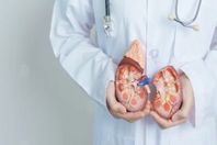 6281478086012202604201258435843