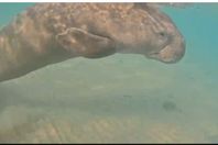 675645885_1374751464_770_013259