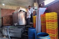 1000624527_694_054617