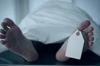 8686492210120250617092001201