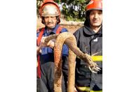 IMG-20260427-WA0106_715_114015