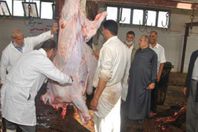 تغيير أختام المجازر الحكومية بعد امتلاء الأسواق بلحوم فاسدة