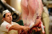 إلزام المجازر بكاميرات مراقبة "لاحترام حقوق الحيوان"