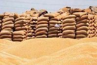 جرد "شونتين قمح" بهما عجز 50 مليون جنيه