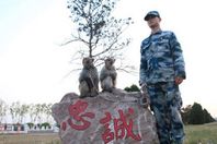 الجيش الصيني يجند "القردة" في سلاح الطيران