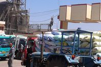 توريد أكثر من 188 ألف طن قمح بالفيوم