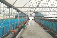 القوات المسلحة تنشئ مزارع سمكية على مساحة 2000 فدان وميناء للصيد بكفر الشيخ