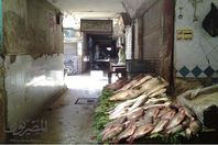 غلق محلات سمك