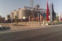 قنا تتزين بأعلام مصر لاستقبال السيسي