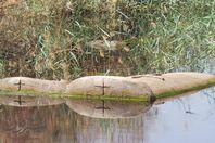 مياه الصرف تغرق المقابر