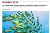 صورة الخبر الأصلي