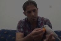 ببغاء يتلو سورة كاملة من القرآن