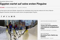 صورة اللخبر الاصللي