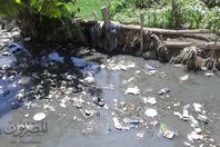 القمامة في الترعة