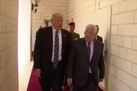 عباس وترامب