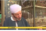 صورة من التقرير المصور