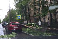 مصرع 8 أشخاص في إعصار ضرب موسكو