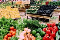 المحاصيل الزراعية