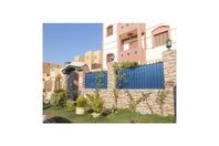 مافيا ادوية