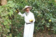 ابراهيم شحبي