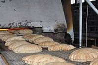 توزيع خبز مجانا بالغردقة