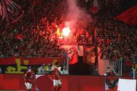 جماهير الأهلي