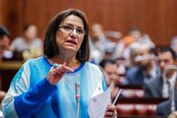 النائبة نادية هنرى