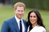 الامير هاري